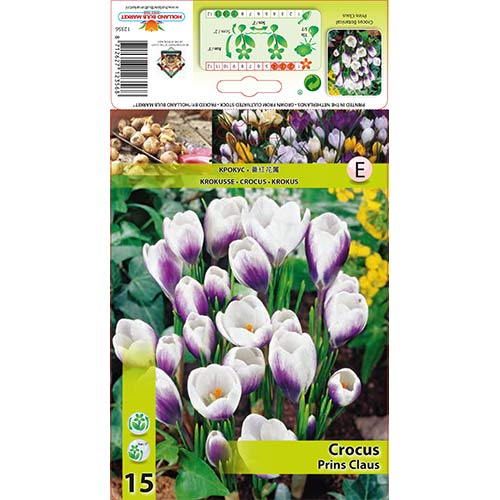 Šafran Prins Claus artikel fotografia 1 Šafran Prins Claus obrázok 1 artikel 67618