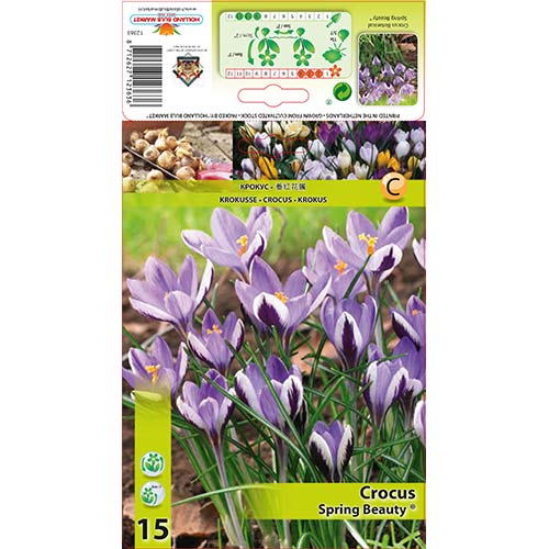 Šafran Spring Beauty obrázok 1 artikel 67342