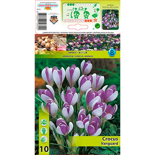 Šafran Vanguard artikel fotografia 1 Šafran Vanguard obrázok 1 artikel 67343