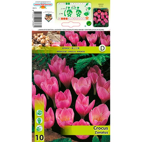 Šafran Zonatus artikel fotografia 1 Šafran Zonatus obrázok 1 artikel 67345