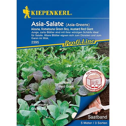 Šalát ázijský, zmes artikel fotografia 1 Šalát ázijský, zmes obrázok 1 artikel 87291