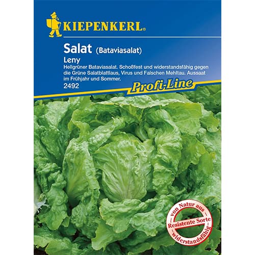 Šalát hlávkový Leny artikel fotografia 1 Šalát hlávkový Leny obrázok 1 artikel 96595