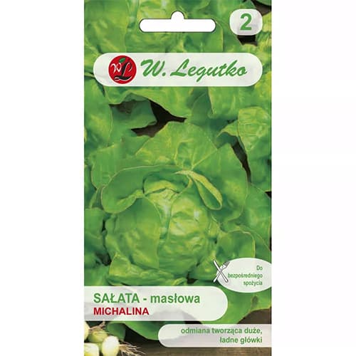 Šalát hlávkový maslový Michalina obrázok 1 artikel 86901