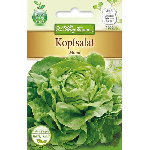 Šalát hlávkový Mona artikel fotografia 1 Šalát hlávkový Mona obrázok 1 artikel 78771