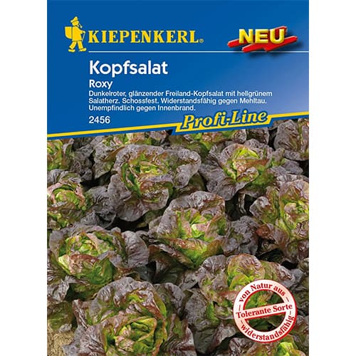 Šalát hlávkový Roxy artikel fotografia 1 Šalát hlávkový Roxy obrázok 1 artikel 96627