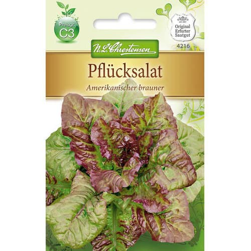 Šalát listový Amerikanischer Brauner obrázok 1 artikel 78777