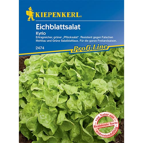 Šalát listový Kyrio obrázok 1 artikel 96609