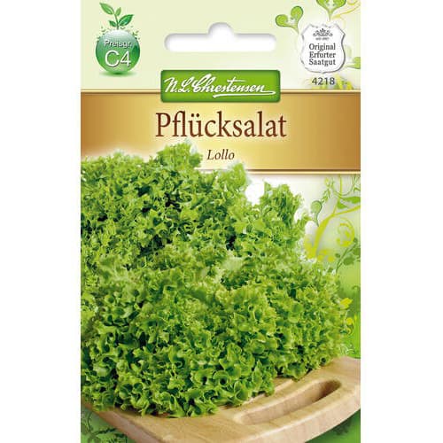 Šalát listový Lollo artikel fotografia 1 Šalát listový Lollo obrázok 1 artikel 78778