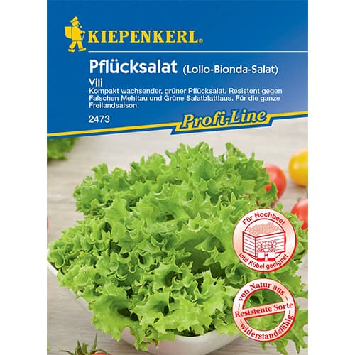 Šalát listový Vili artikel fotografia 1 Šalát listový Vili obrázok 1 artikel 96649