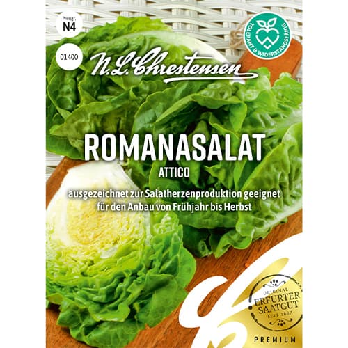 Šalát rímsky Attico obrázok 1 artikel 86092