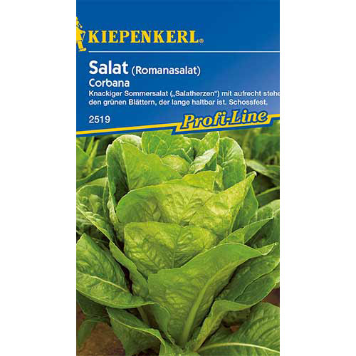 Šalát rímsky Corbana obrázok 1 artikel 86516