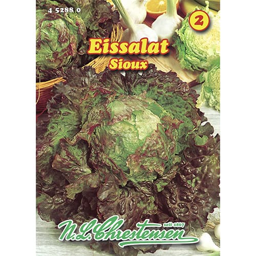 Šalát ľadový Sioux artikel fotografia 1 Šalát ľadový Sioux obrázok 1 artikel 96471