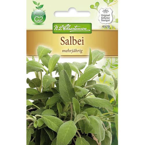 Šalvia vytrvalá obrázok 1 artikel 78869