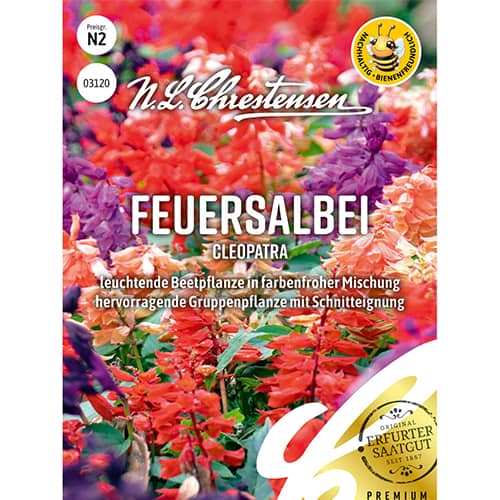 Šalvia žiarivá Cleopatra, zmes obrázok 1 artikel 86150