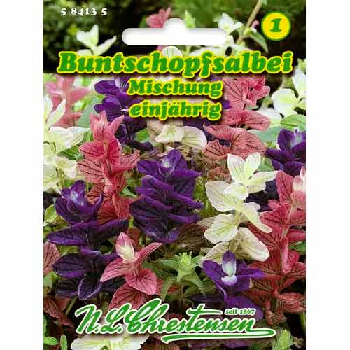 Šalvia, zmes obrázok 1 artikel 50032