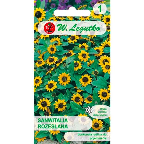 Sanwitalia bola odoslaná obrázok 1 artikel 50118