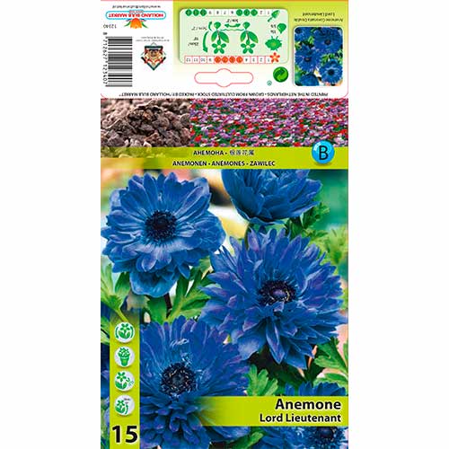 Sasanka Double Lord Lieutenant obrázok 1 artikel 76165