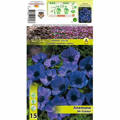 Sasanka Mr Fokker obrázok 1 artikel 70339