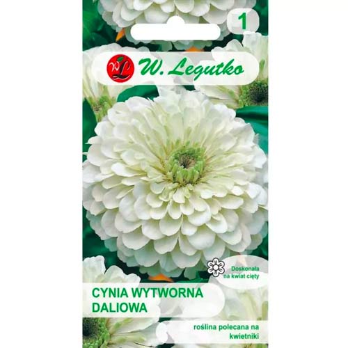 Sedemkráska ľadový medveď strapce obrázok 1 artikel 78540