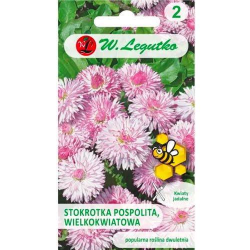 Sedmokráska obyčajná Mária veľkokvetá obrázok 1 artikel 50121