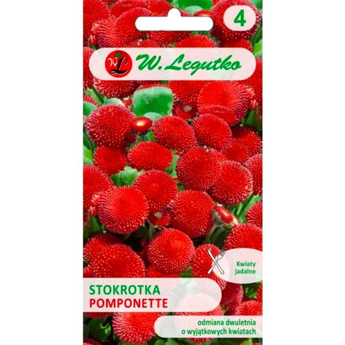 Sedmokráska obyčajná Pomponette červená obrázok 1 artikel 78619