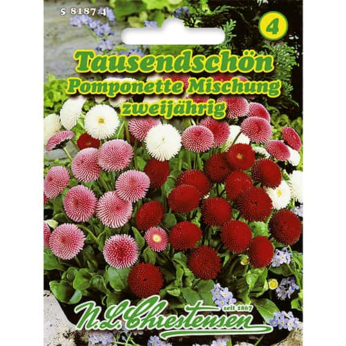Sedmokrásky Pomponette, zmes видів artikel fotografia 1 Sedmokrásky Pomponette, zmes видів obrázok 1 artikel 86124