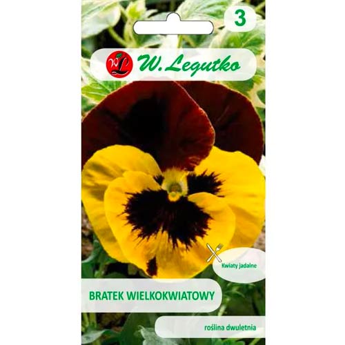 Sirôtka veľkokvetá Red Wings obrázok 1 artikel 96736