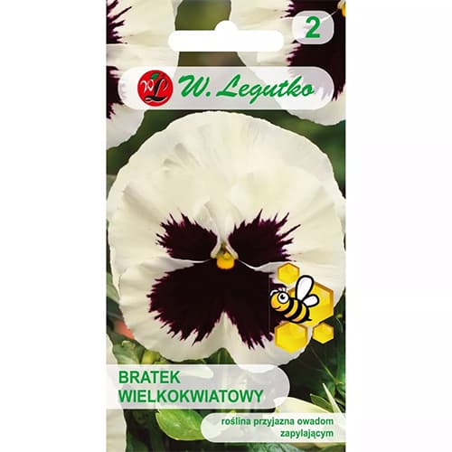 Sirôtka veľkokvetá Silberbraut obrázok 1 artikel 86802