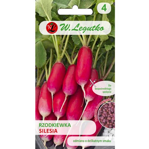 Sliezsko červená reďkev obrázok 1 artikel 50140