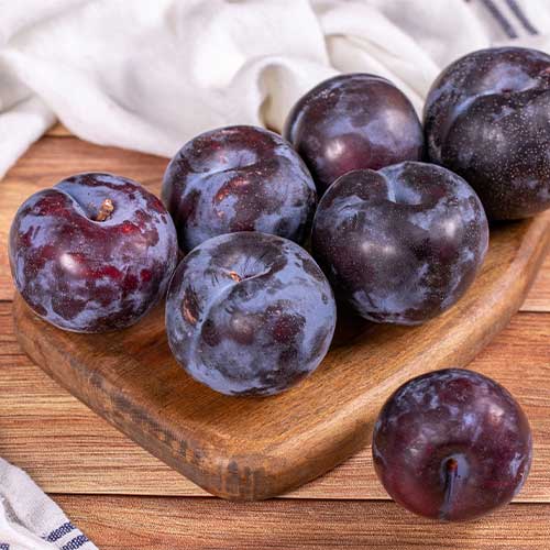 Slivka Black Star, С2 obrázok 1 artikel 5673