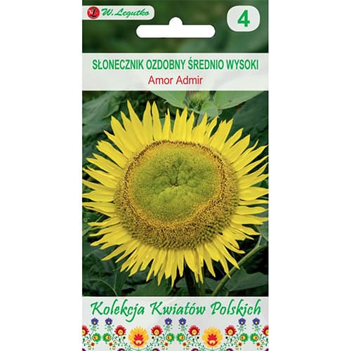 Slnečnica okrasná Amor Admir obrázok 1 artikel 86732