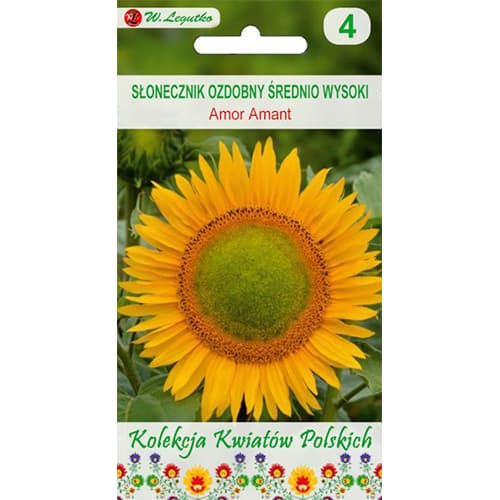 Slnečnica okrasná Amor Amant obrázok 1 artikel 86736