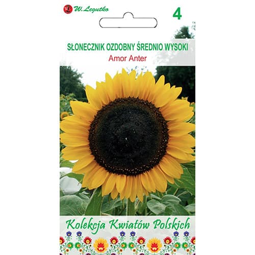 Slnečnica okrasná Amor Anter obrázok 1 artikel 86733