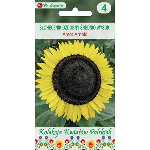 Slnečnica okrasná Amor Arnold obrázok 1 artikel 86731