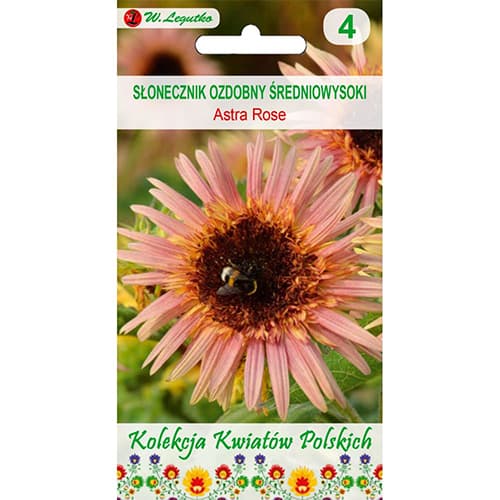 Slnečnica okrasná Astra Rose obrázok 1 artikel 96748