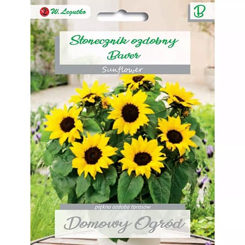 Slnečnica okrasná Baver obrázok 1 artikel 69662