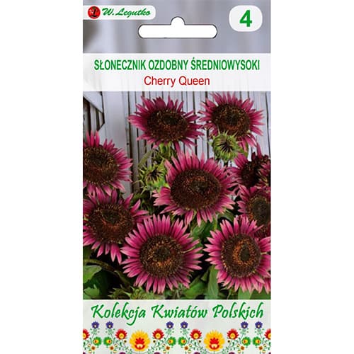 Slnečnica okrasná Cherry Queen obrázok 1 artikel 96749