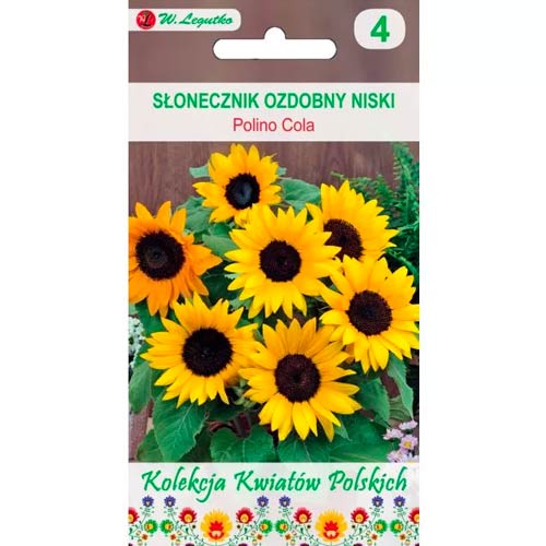 Slnečnica, okrasný kvetináč Polino Cola obrázok 1 artikel 86735
