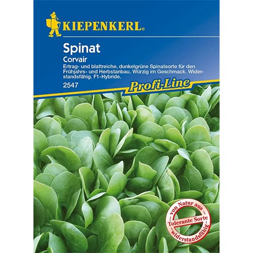 Špenát Corvair F1 obrázok 1 artikel 86533