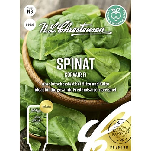 Špenát Corvair F1 obrázok 1 artikel 96497