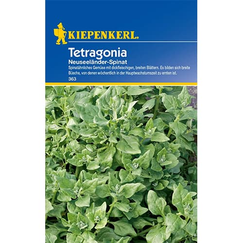 Špenát Tetragonia obrázok 1 artikel 77497