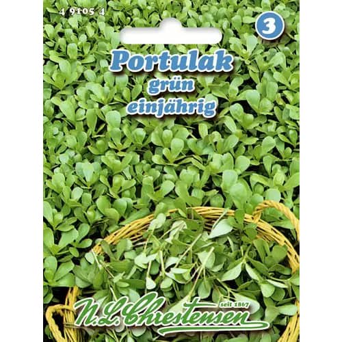 Šrucha zelná artikel fotografia 1 Šrucha zelná obrázok 1 artikel 96439