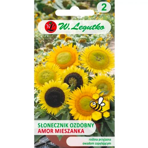 Stredne vysoká slobodná slnečnica Amor obrázok 1 artikel 78586