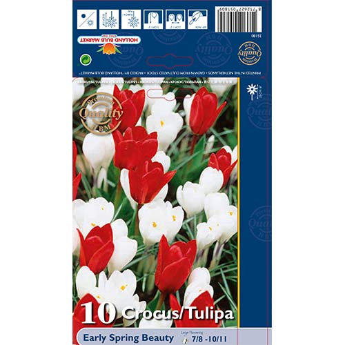 Super nabídka! Sada tulipánů, krokusů ze 2 odrůd artikel fotografia 1 Super nabídka! Sada tulipánů, krokusů ze 2 odrůd obrázok 1 artikel 67543