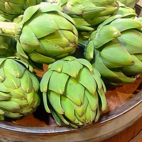 Super ponuka! Erica, sada 2 odrôd obrázok 1 artikel 76707