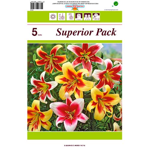 Super ponuka! Ľalia obrovská (OT-hybrid) mix z 5 cibúľ obrázok 1 artikel 76474