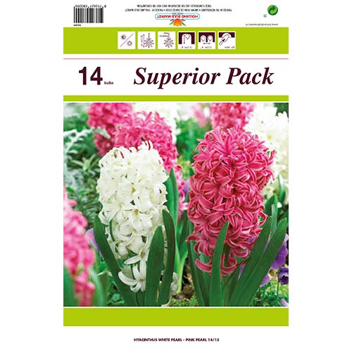 Super ponuka! Sada hyacintov so 14 cibuliek obrázok 1 artikel 67550