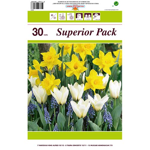 Super ponuka! Sada narcisov, modrencov a Greigov tulipán z 30 cibuliek artikel fotografia 1 Super ponuka! Sada narcisov, modrencov a Greigov tulipán z 30 cibuliek obrázok 1 artikel 67902