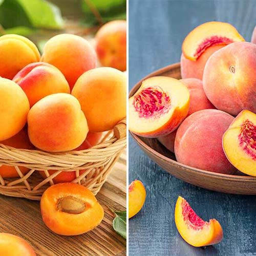 Super ponuka! Sada ovocných a bobuľovitých produktov, 2 sadenice obrázok 1 artikel 5676