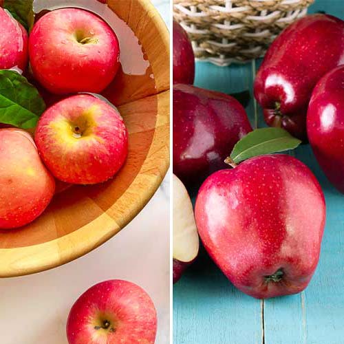 Super ponuka! Sada ovocných produktov, 2 sadenice obrázok 1 artikel 5872